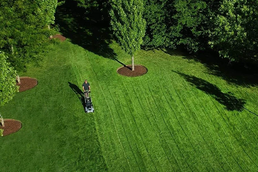self powered lawn mower