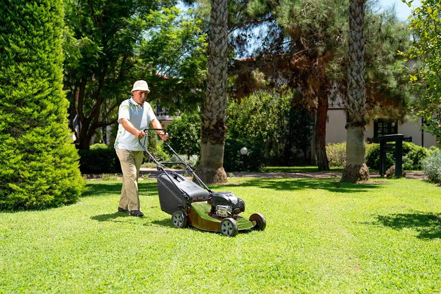 self-propelled electric lawn mower with battery and charger